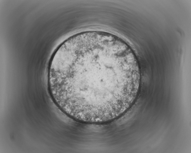 X0000112731514200909031433