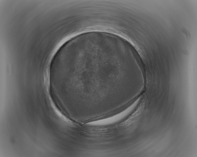 X0000112731515200909031433