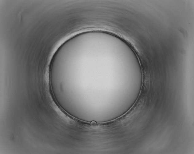 X0000112731516200909031433