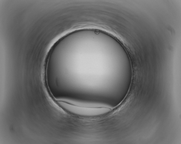 X0000112731518200909031434