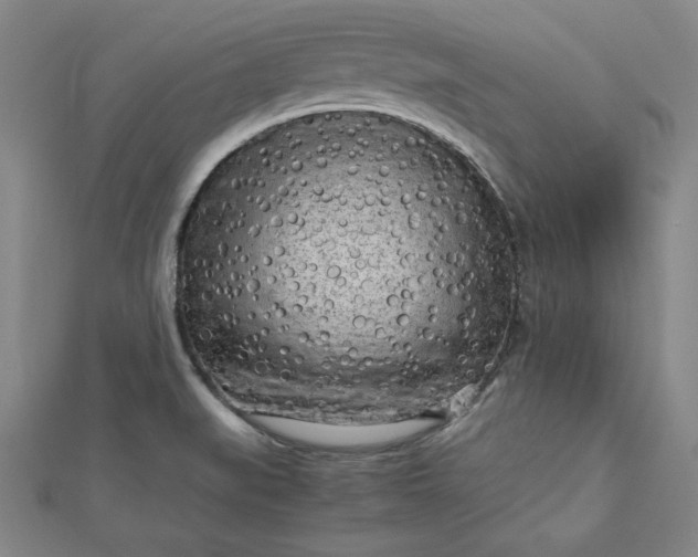 X0000112731519200909031434