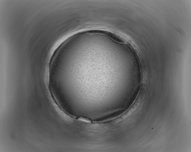 X0000112731520200909031434