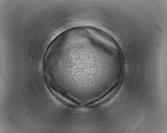 X0000112731521200909031434