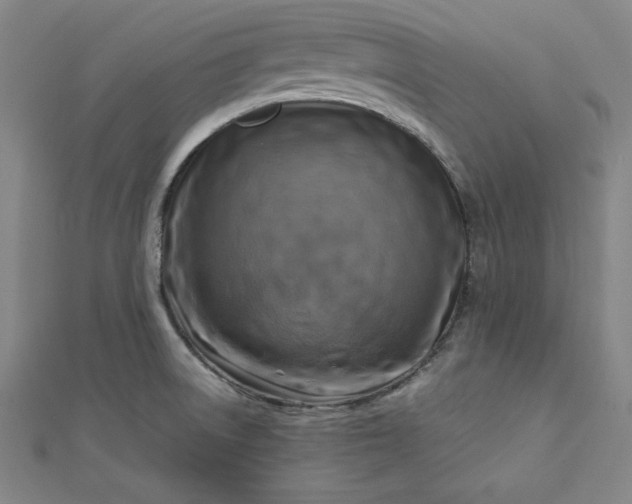 X0000112731522200909031434