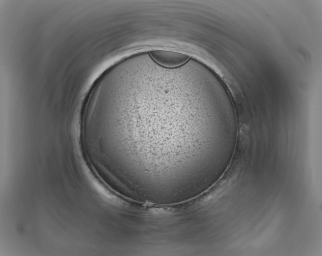 X0000112731523200909031434