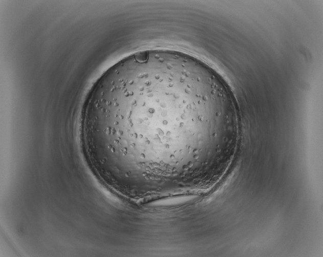 X0000112731525200909031434