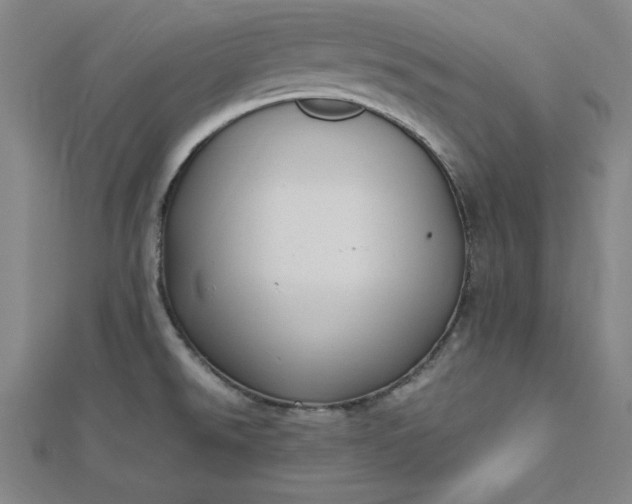 X0000112731526200909031434