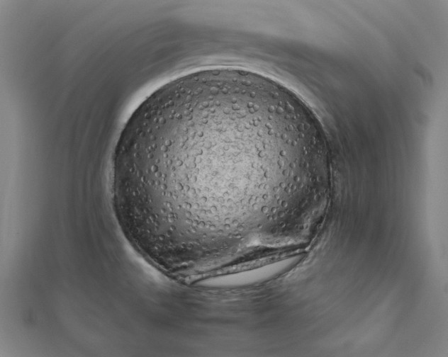 X0000112731527200909031434