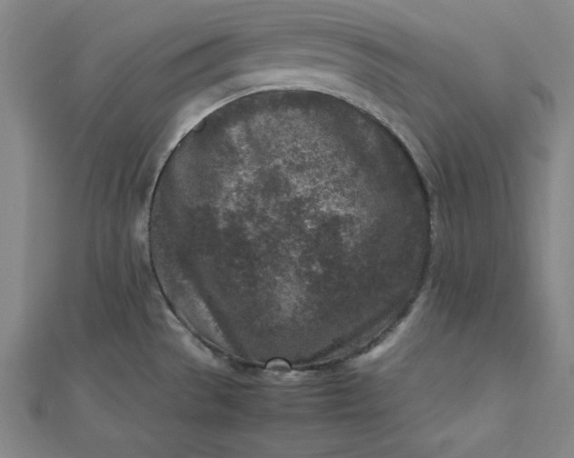 X0000112731529200909031434