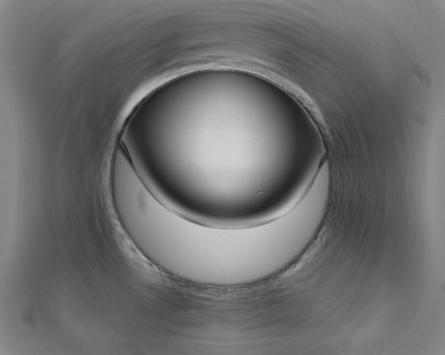 X0000112731530200909031434