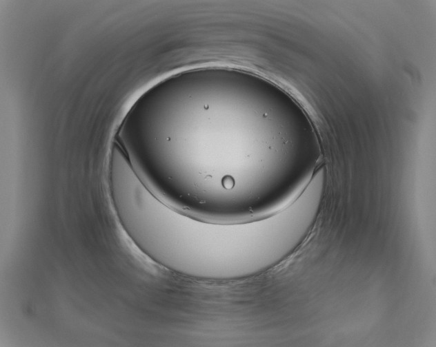 X0000112731532200909031434