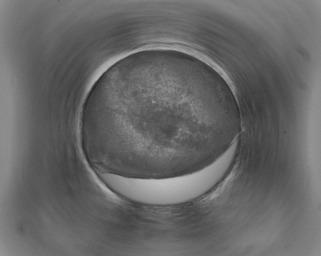 X0000112731533200909031434