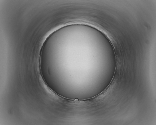 X0000112731534200909031434