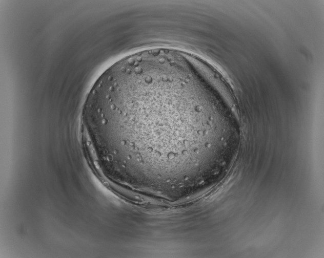 X0000112731535200909031434