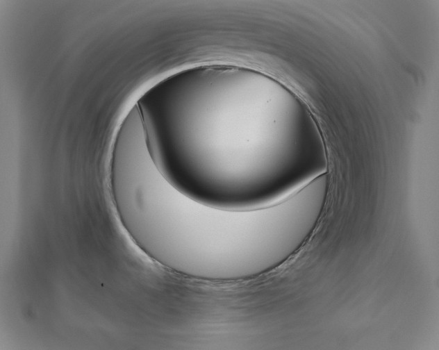 X0000112731536200909031434