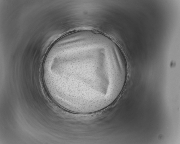 X0000112730001200909101503