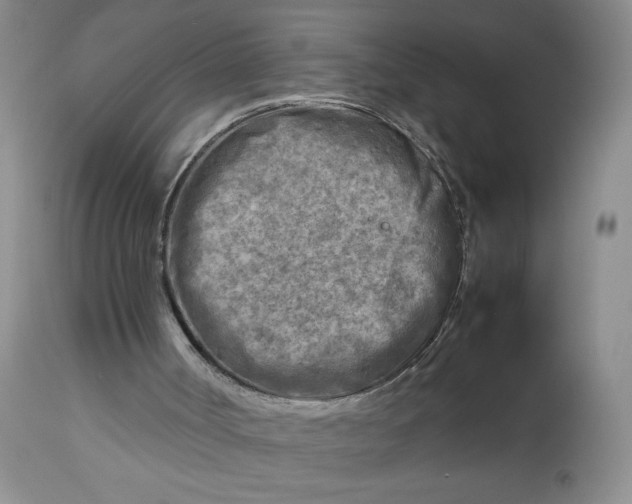 X0000112730002200909101503