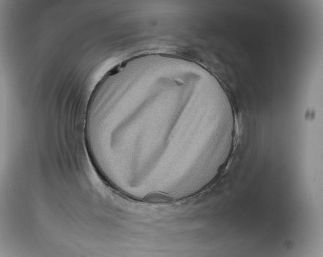 X0000112730003200909101503