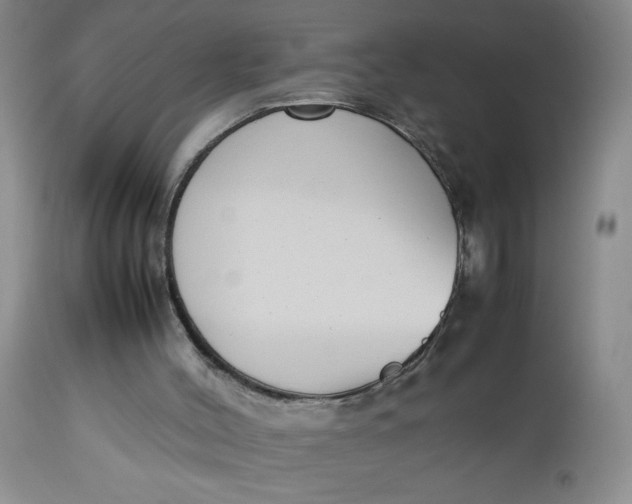 X0000112730004200909101503