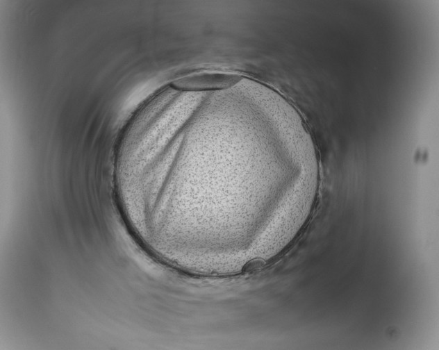 X0000112730005200909101503