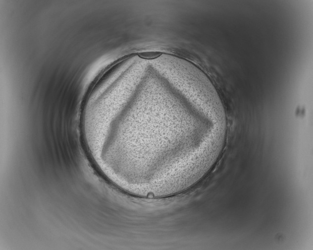 X0000112730006200909101503