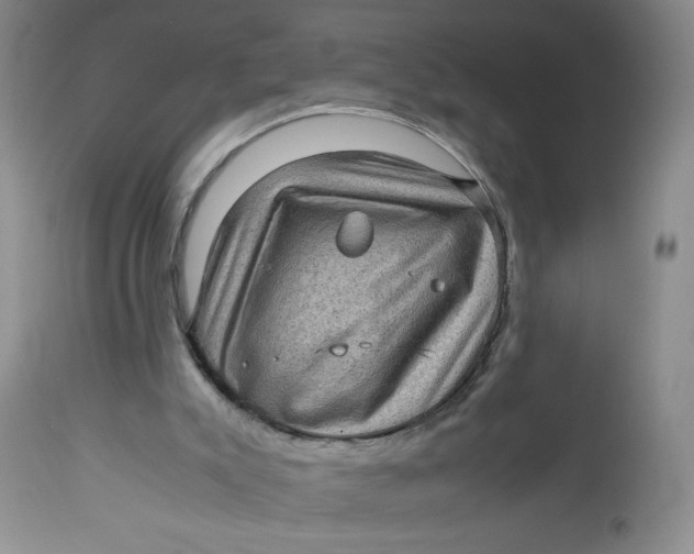 X0000112730007200909101503