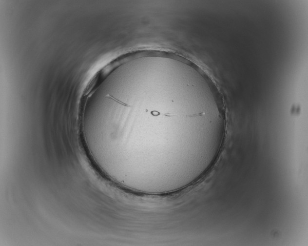 X0000112730008200909101503