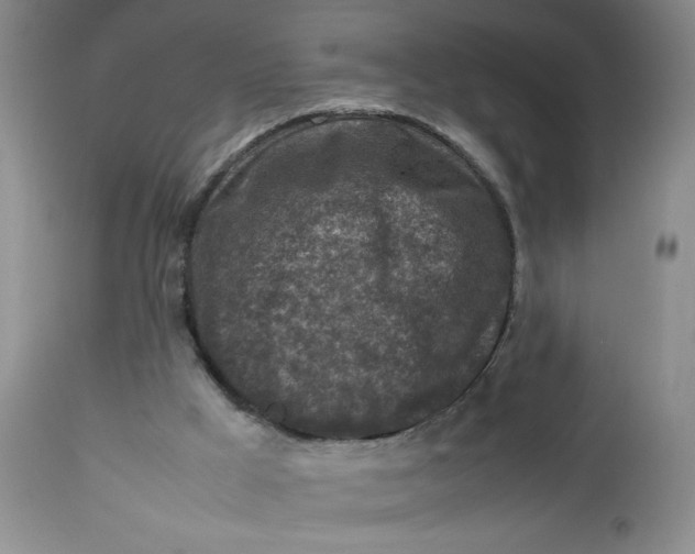 X0000112730009200909101503