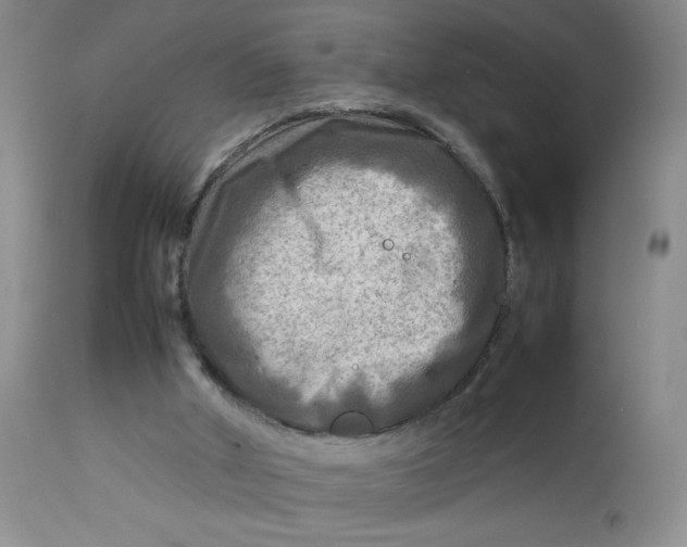 X0000112730010200909101503