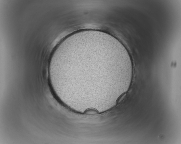 X0000112730011200909101503