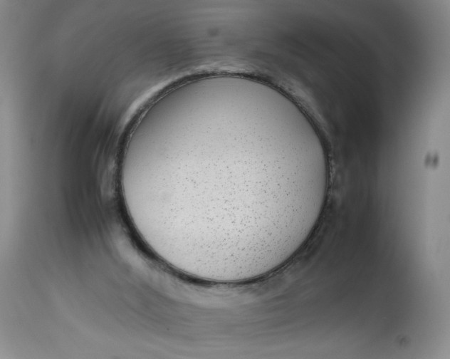 X0000112730012200909101503