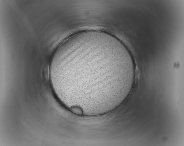 X0000112730013200909101503