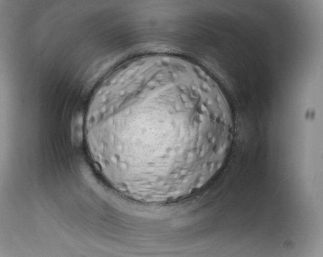 X0000112730014200909101503