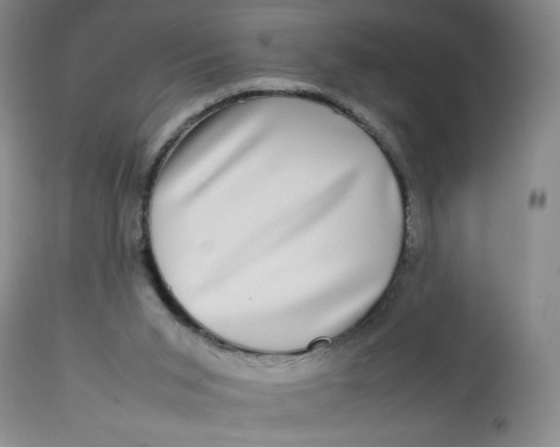 X0000112730015200909101503