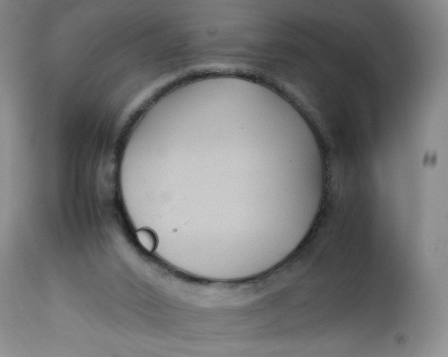 X0000112730016200909101503