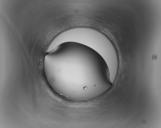 X0000112730017200909101502