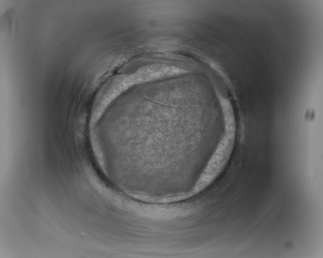 X0000112730018200909101502