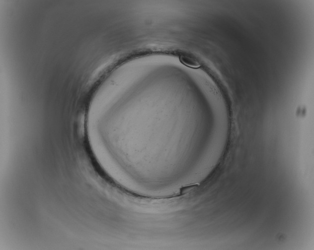 X0000112730019200909101502