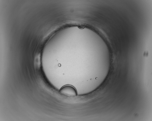 X0000112730020200909101502