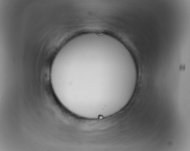 X0000112730021200909101502