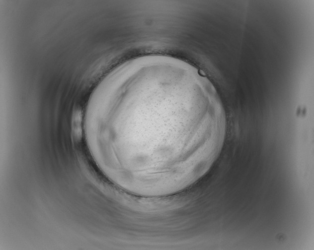 X0000112730022200909101502