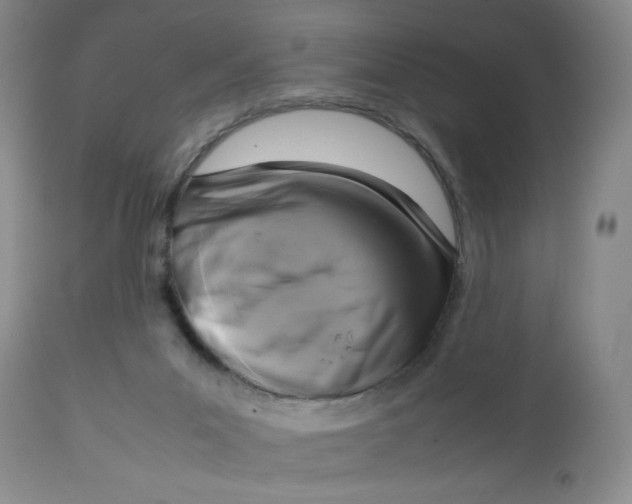 X0000112730023200909101502