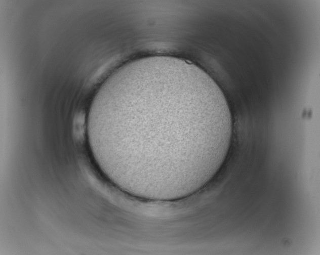 X0000112730024200909101502