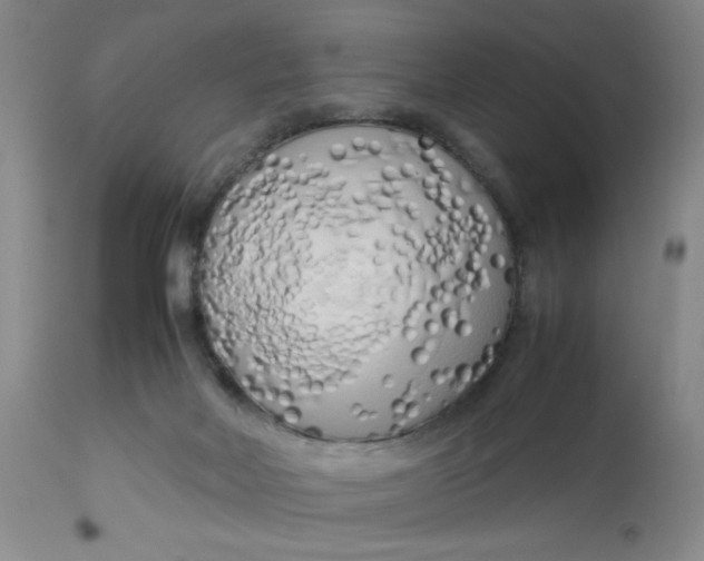 X0000112730026200909101502