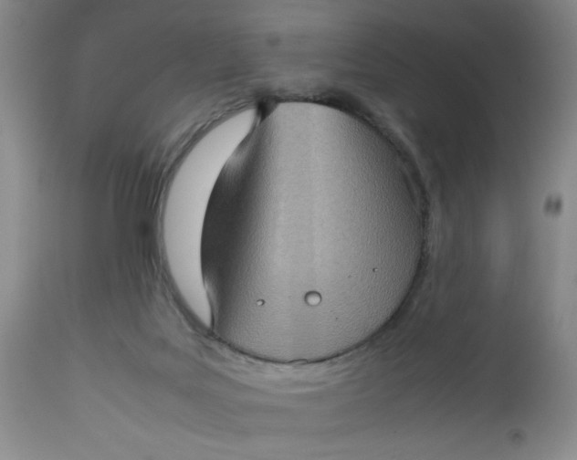 X0000112730027200909101502