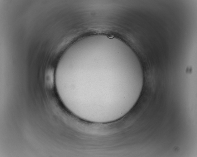 X0000112730028200909101502