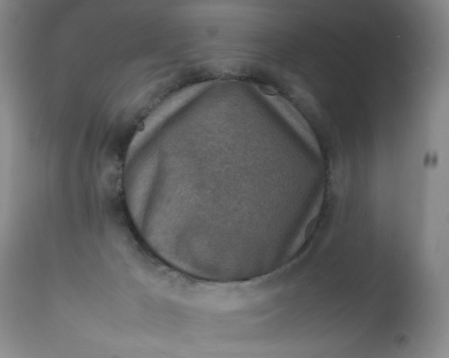 X0000112730029200909101502