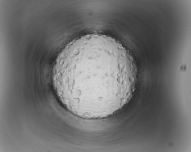 X0000112730030200909101502