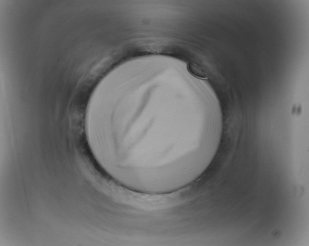 X0000112730031200909101502