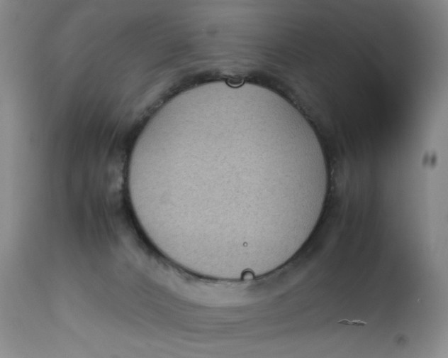 X0000112730032200909101502